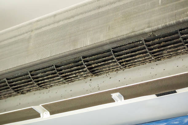 Best Affordable Duct Cleaning Services  in USA